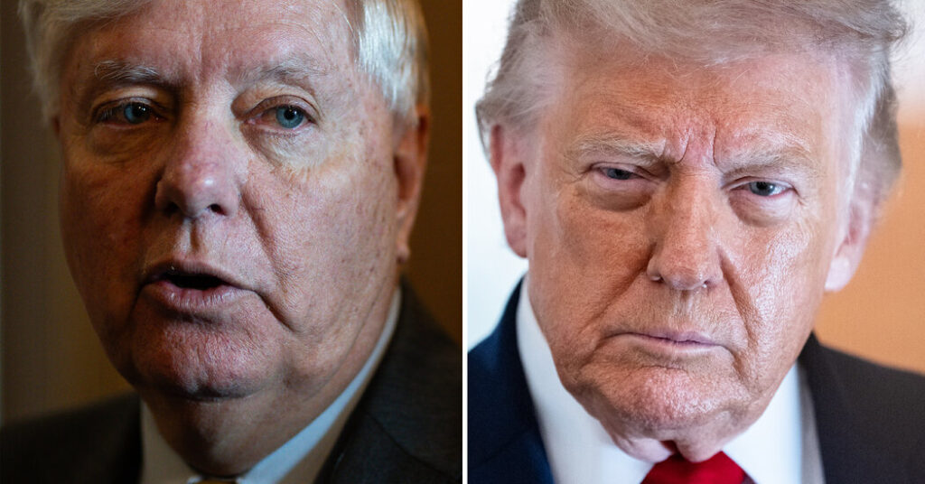 A Timeline of Donald Trump and Lindsey Graham’s Relationship Before the South Carolina Primary A Timeline of Donald Trump and Lindsey Graham’s Relationship Before the South Carolina Primary