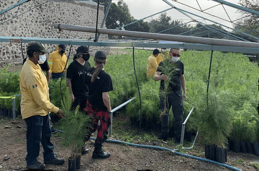 Maná’s free Guadalajara concert will benefit reforestation projects Members of Maná at a tree nursery