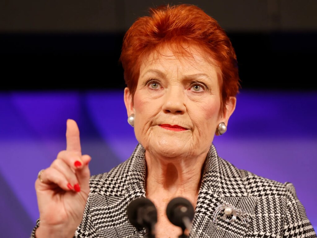 Australian court rejects racial discrimination appeal by Pauline Hanson | Racism News