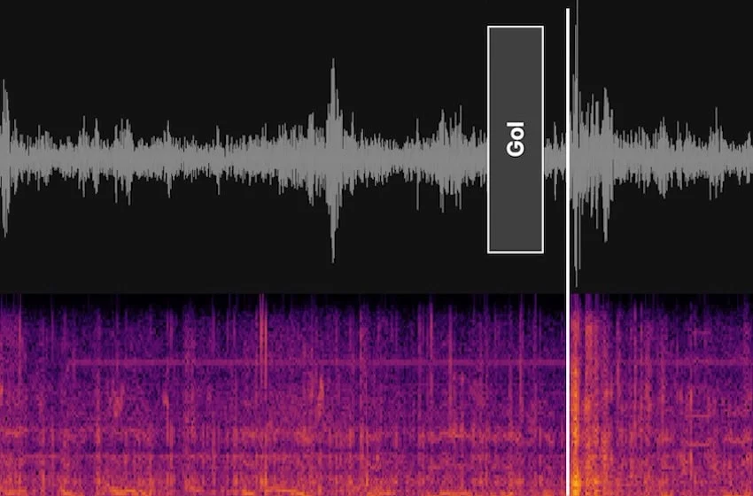 Fan reaction after Mexico’s first goal Tuesday triggered seismographs Fan reaction after Mexico's first goal Tuesday triggered seismographs