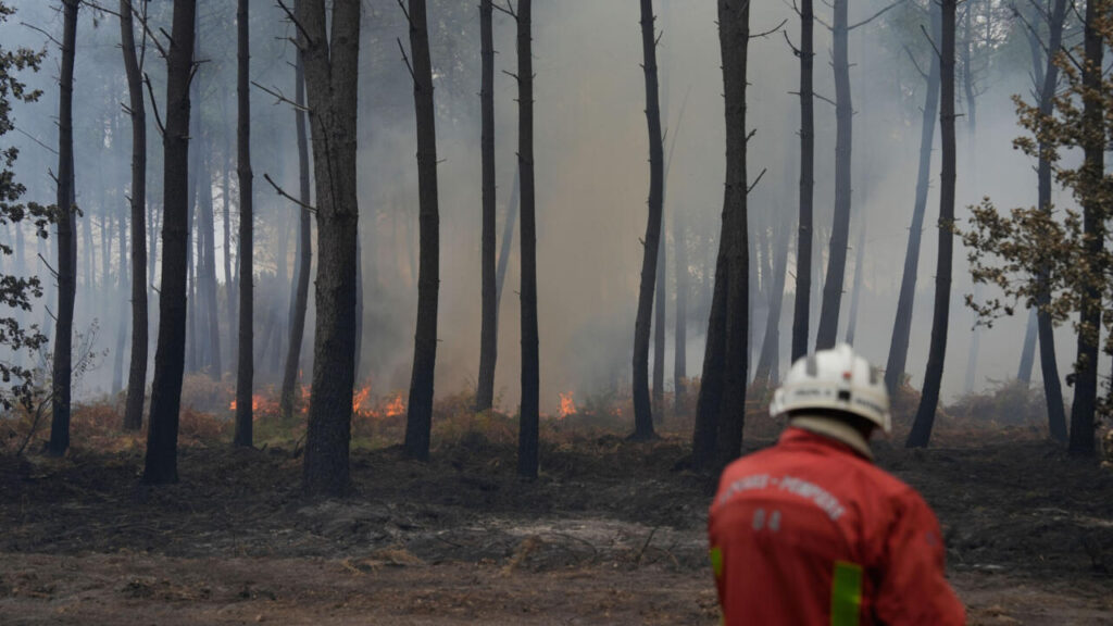 George Clooney's family evacuates their home in France amid wildfires