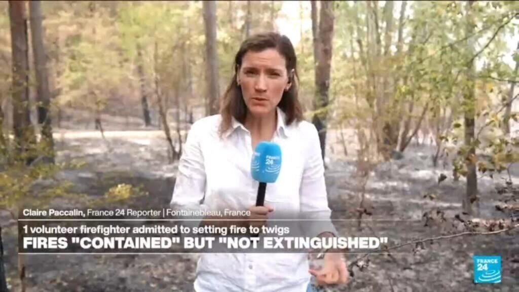 Shock and solidarity after wildfires ravage Fontainebleau Shock and solidarity after wildfires ravage Fontainebleau