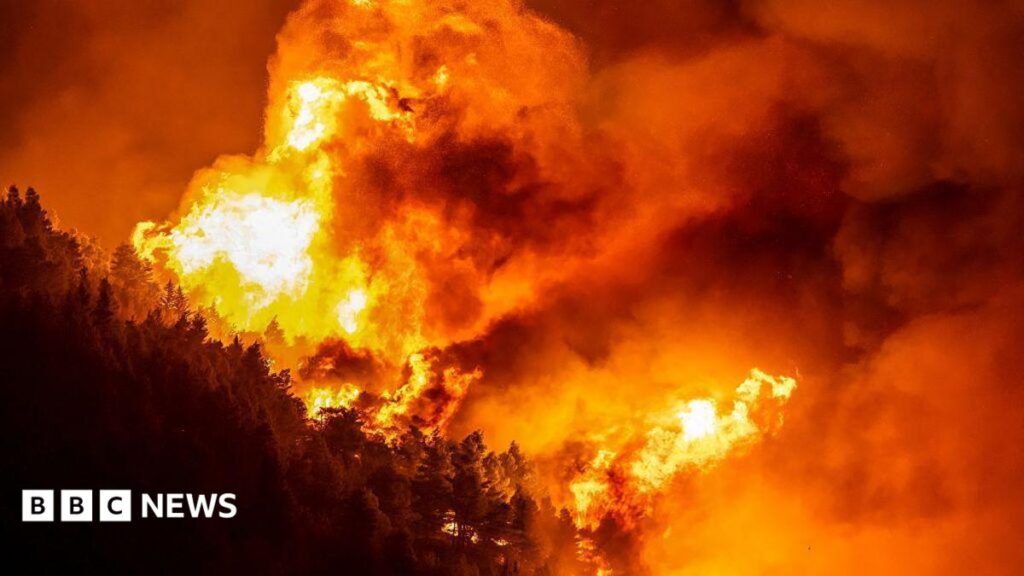 A wooden area is enfulfed in flames during a raging wildfire near the town of Omiš
