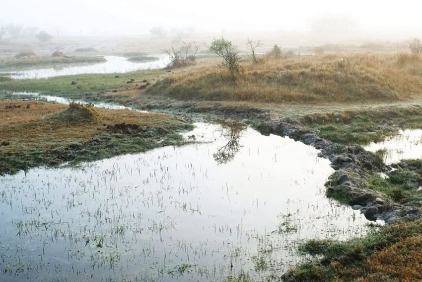In Mexico’s sacred desert, water is disappearing Indigenous Wixárika people and the water crisis as it applies to local communities in San Luis Potosí