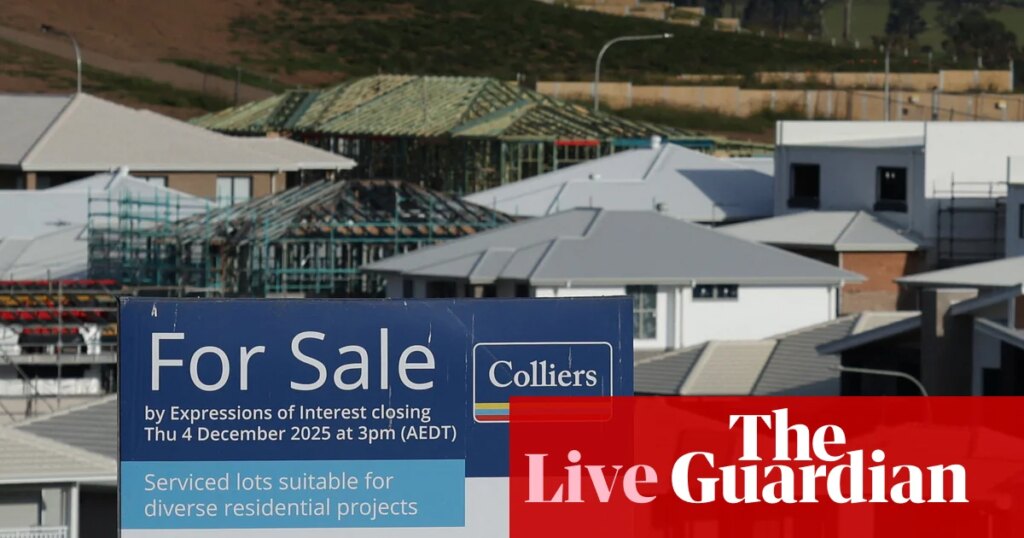 Australia news live: Chalmers concedes ‘softness’ in housing market; teen charged after ‘near complete amputation’ of boy’s hand in Sydney | Australia news