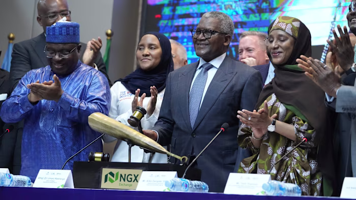 Dangote IPO is a test for African capitalism Dangote IPO is a test for African capitalism