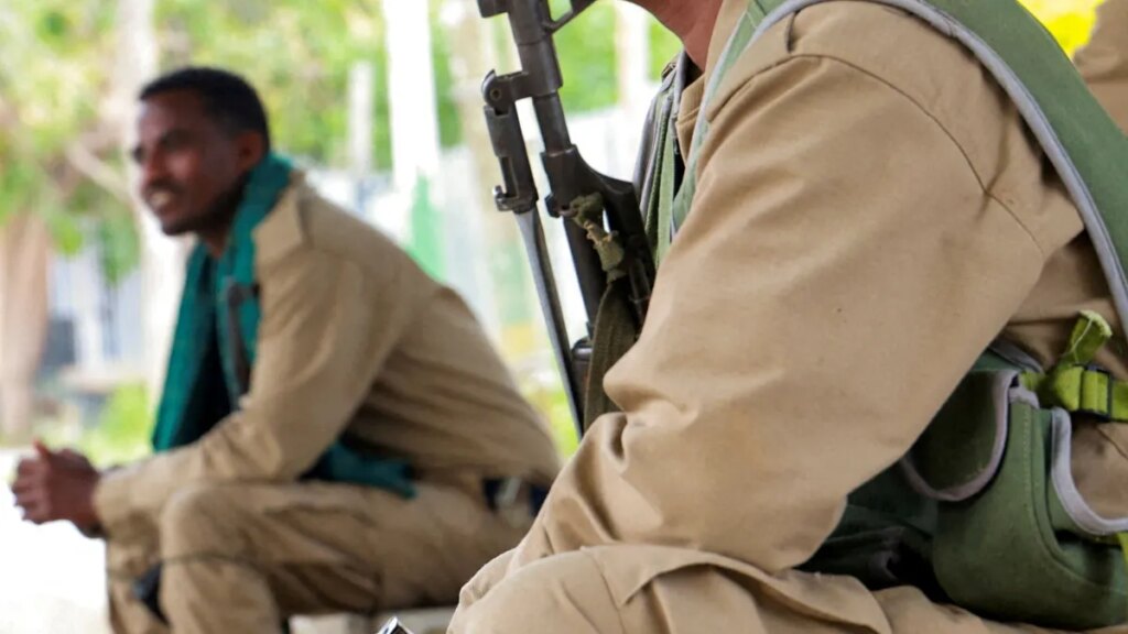 Ethiopia’s new rebel alliance faces an old problem | Abiy Ahmed Ethiopia’s new rebel alliance faces an old problem | Abiy Ahmed