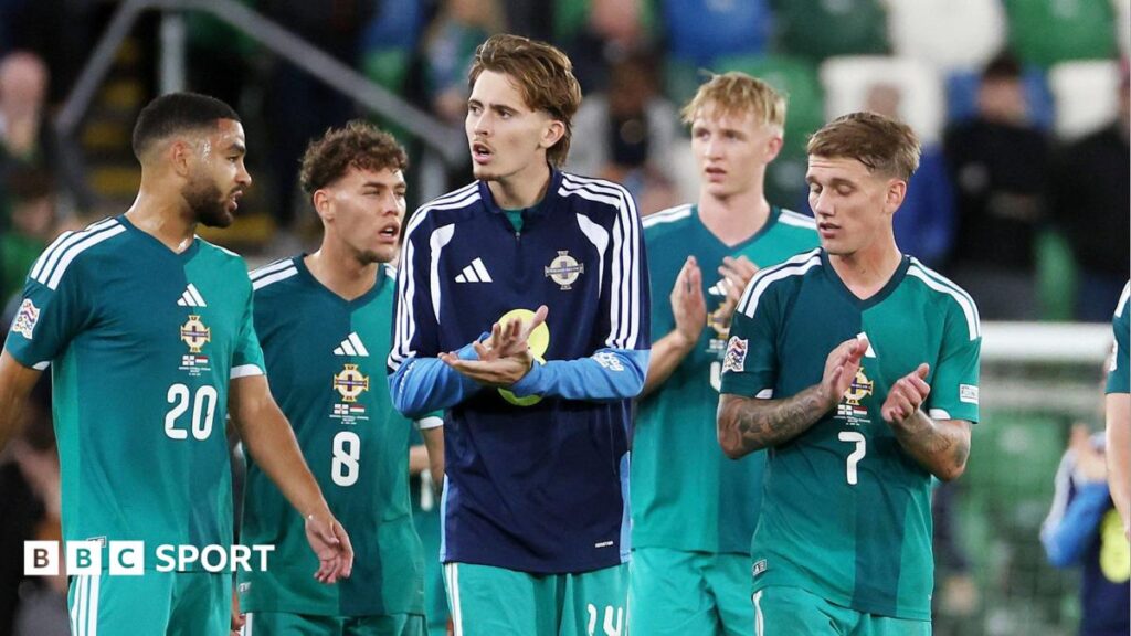 Northern Ireland players appluad fans
