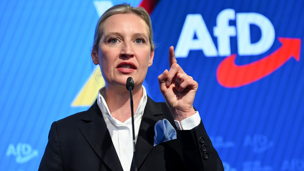Ukrainians must leave Germany – AfD co-leader — RT World News Ukrainians must leave Germany – AfD co-leader — RT World News