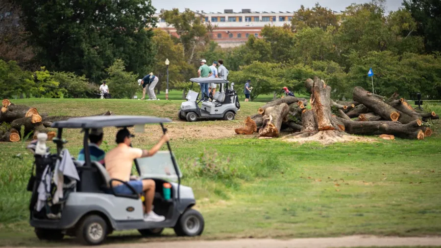 Bulldozed trees spike DC tensions: Inside Trump’s takeover of East Potomac Park Bulldozed trees spike DC tensions: Inside Trump’s takeover of East Potomac Park