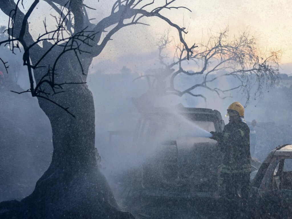 Palestine weekly: Olive harvest opens under assault | Israel-Palestine conflict News