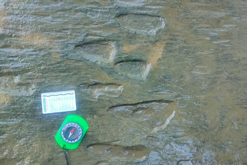 Rural Michoacán residents lead researchers to dinosaur footprints Dinosaur footprints in Michoacán