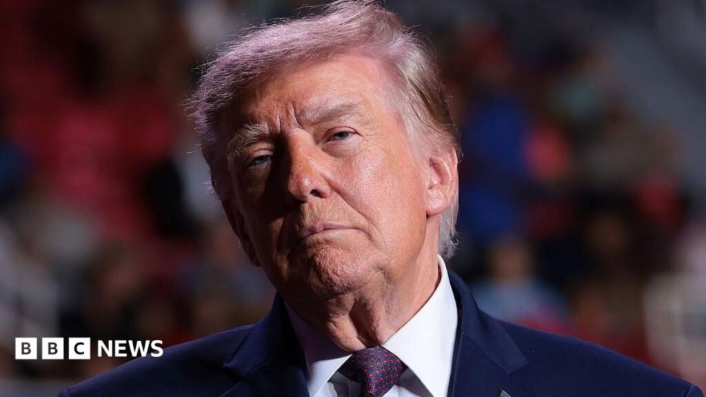 Donald Trump stands in front of a blurred crowd.